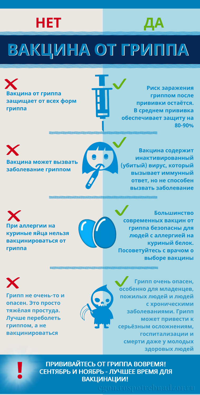 Вакцинация от гриппа: да или нет?